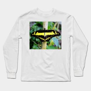 Black and Yellow Butterfly Long Sleeve T-Shirt